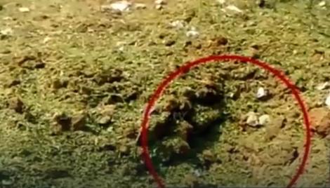 43546dd80e9160168d36465eb6e68c15