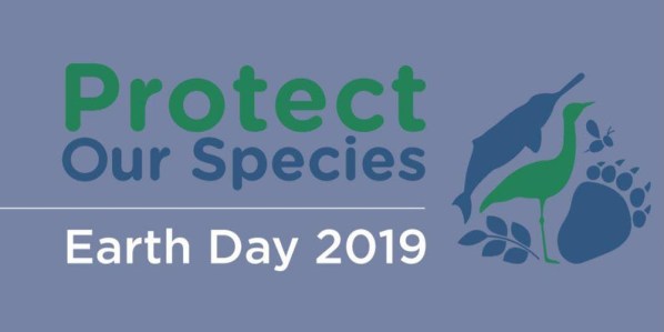 Dan planete zemlje 2019