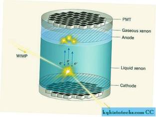dark-matter-remains-elusive